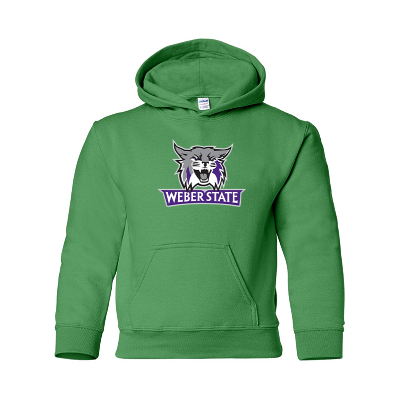 Youth Weber State Wildcats Gildan Heavy Blend  Hooded Sweatshirt
